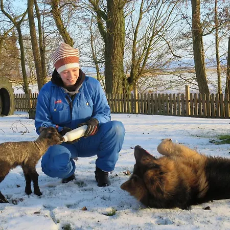 Landfrieden Vollerwiek