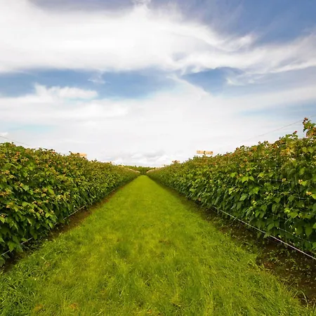 Appartement Landfrieden