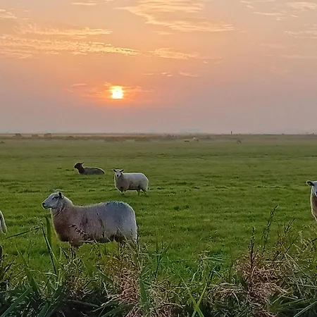 Landfrieden 아파트 Vollerwiek