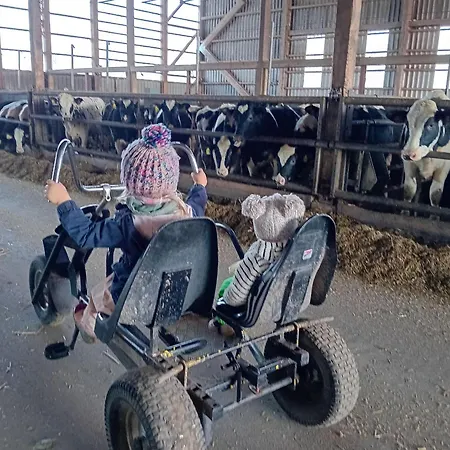 Landfrieden 아파트