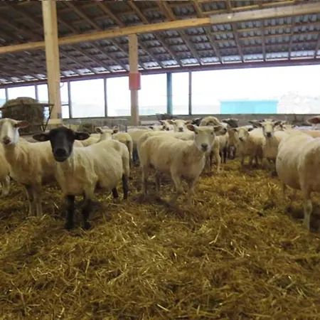 아파트 Landfrieden *