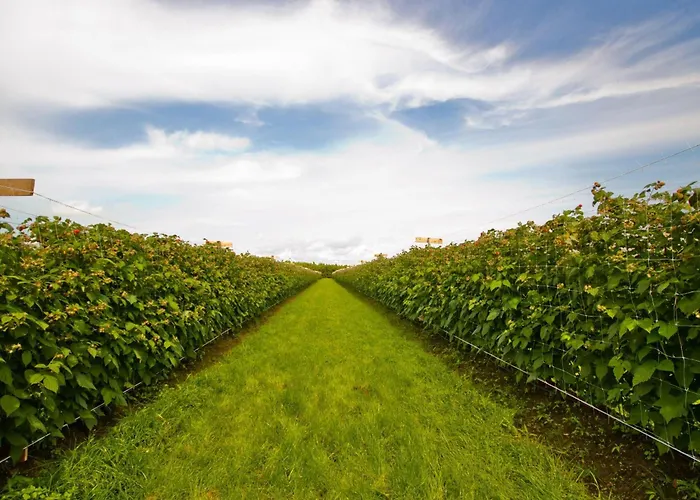 Apartment Landfrieden