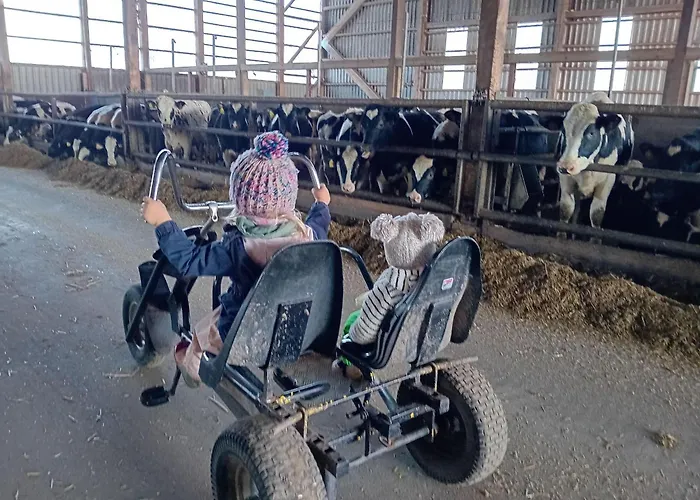 Landfrieden Apartment