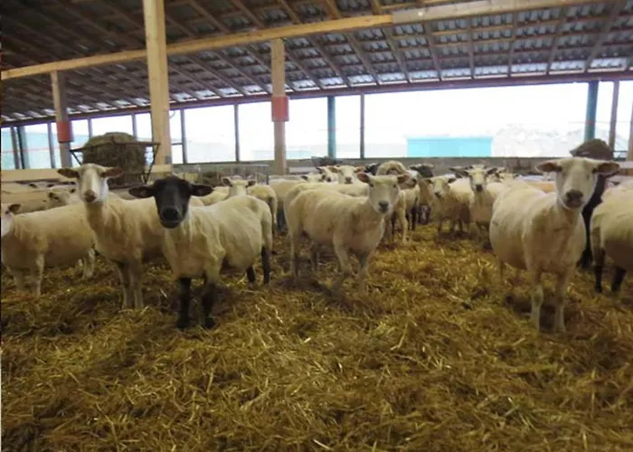 Apartment Landfrieden *